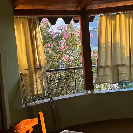 Bregdeti Konukevi Velipojë